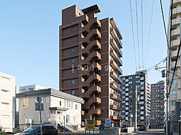 セントポーリアクレア 502