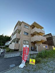ヴァンクール 205