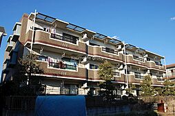エスト 303