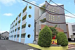 ライラック 206