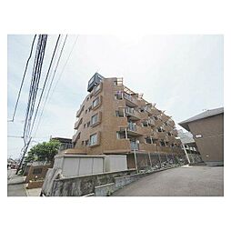ライオンズマンション平塚第3 501