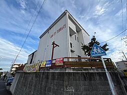 アミティテラス 203