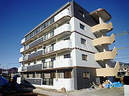 プレイズ　レイ 301