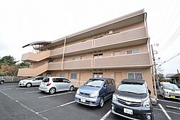 パレスコスモス 202