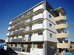 プレイズレイ 304