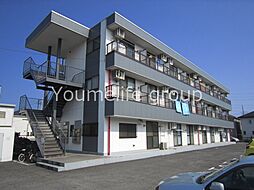 ステラコート 204