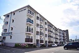 サンパレス湘南III 101