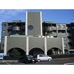 フィールド・サン 202