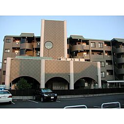 フィールド・サン 303