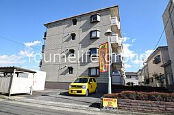 マリナスパジオ 401