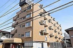 ライオンズマンション平塚第3 201