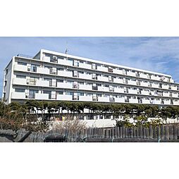 シーサイドパレス平塚（0005762） 3F