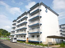 テレパレス伊勢原3号棟 101