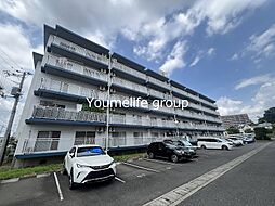 テレパレス伊勢原4号棟 503