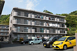 ベルヴェデーレII 405