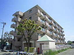 マルベリー平塚 202