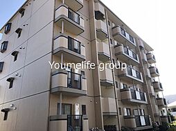 グレイスコート 505