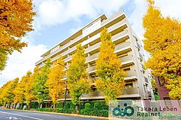 ヒルズ目白台 203