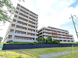 クレストフォルム水元公園