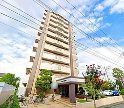 エンゼルハイム鹿浜第6 206