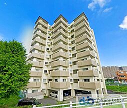 ニューハイツ中川 901