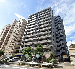 シティハイツ三ノ輪 203