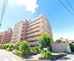 セザールお花茶屋 215