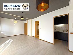 豊中上野西パークハウス