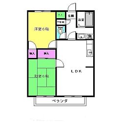 アフロディーテ 102