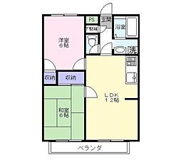 アフロディーテ 202