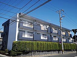 Oryza西古松