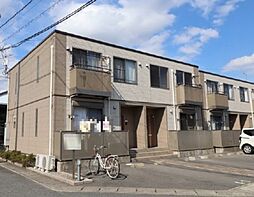 ダンデライオン　A