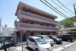 メゾンピュア