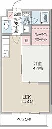 ブローニュ 205