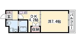 ラピュール 204