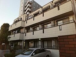 杉並区成田東５丁目