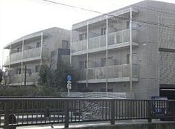 中野区中央１丁目