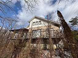 ヴィラスタティック