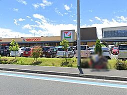 さいたま市見沼区島町　土地　全1区画