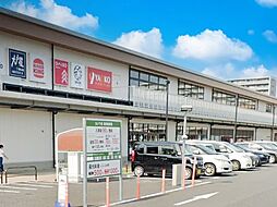 川口市峯　15期　土地　全1区画