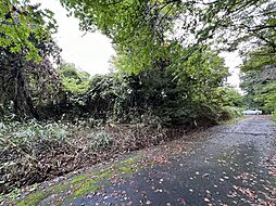 日光市大沢町の土地