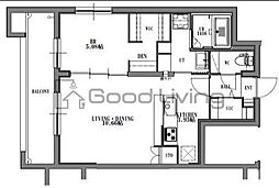 quador Contigo 高宮