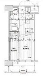 グランフォーレ大橋プレミア