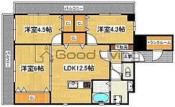 ルチアサントレ姪浜