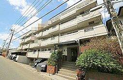 スターハイツ梶ケ谷