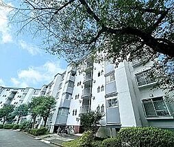 宮前平グリーンハイツ27号棟