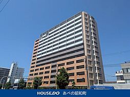 アデニウム北加賀屋