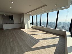 ザ・パークハウス中之島タワー