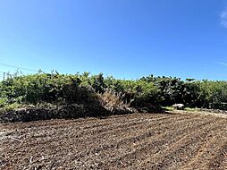 伊良部　長浜多目的施設バス停伊良部前　145坪　畑