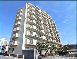 エクセレンス山本